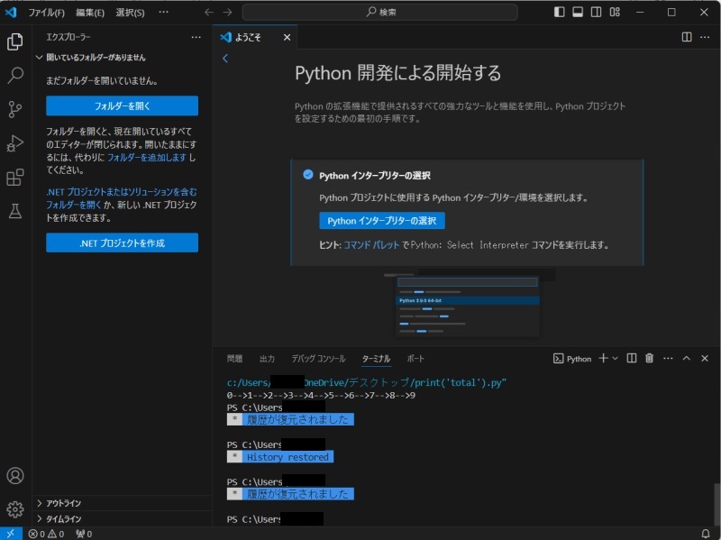 vscode日本語化画像4